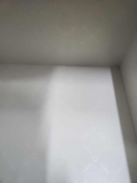 부산 부산 반려동물 퇴거청소 계약분쟁 예방을 위한 전문 청소 순클린 입주청소 시공 사진