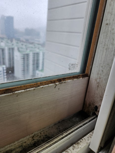 부산 수영구 수영구 입주청소 곰팡이 가득했던 민락더샵센텀포레 해결 과정 입주청소 시공 사진