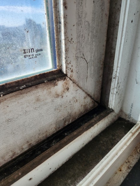 부산 부산진구 연지동 입주청소, 자이2차 49평 20년 된 집이 다시 숨 쉴 수 있도록 입주청소 시공 사진